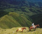 Animate, Viví la experiencia: Tucumán