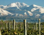 La provincia de Mendoza ofrece buenos vinos, belleza natural y cultura