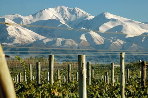 La provincia de Mendoza ofrece buenos vinos, belleza natural y cultura