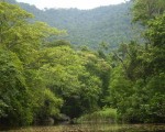 Brasil tiene el mayor santuario ecológico del mundo en Mato Grosso do Sul