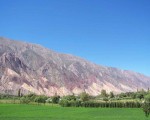 Viva Jujuy, viva la Puna, vivan los cerros pintarrajeados de mi quebrada.