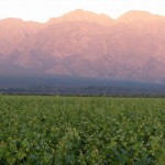 Valle de Famatina
