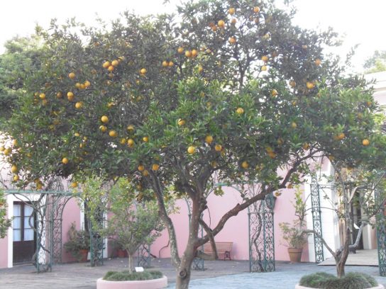 Patio del Parral