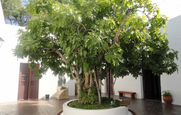 “Sobre Tumbas  y Héroes” se dictará en el Instituto de Cultura del Centro Universitario de Estudios