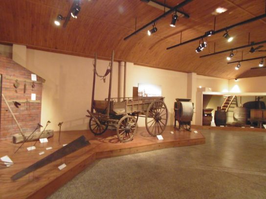Museo Histórico Regional de la Colonia San José1