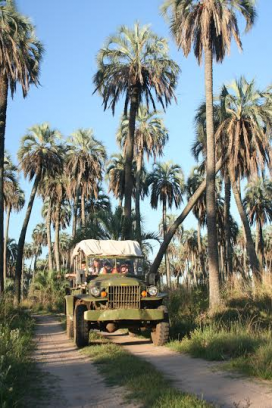 Excursión en el Refugio de Vida Silvestre "La Aurora del Palmar"