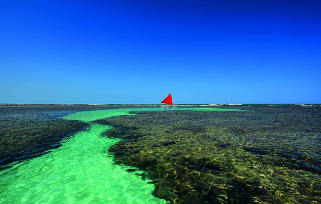 Porto Galinhas, un lugar top de Brasil, para visitar todo el año