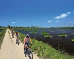 Porto de Galinhas cuenta con senderos para recorrer en bicicleta