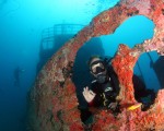 El buceo en Porto de Galinhas permite explorar buques hundidos