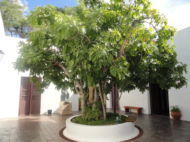 casa natal de Sarmiento