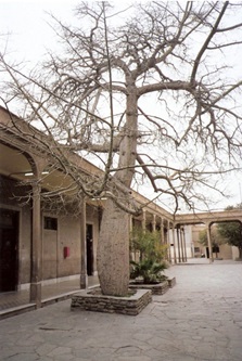 Escuela Normal Superior “Sarmiento”