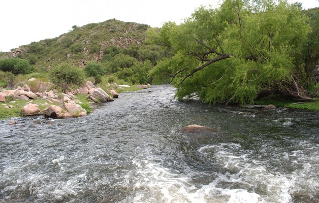 El Arroyo Benítez, un curso de agua al sur de Cortaderas