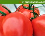 San Juan, la provincia será anfitriona del “VI Encuentro Argentino del Tomate”