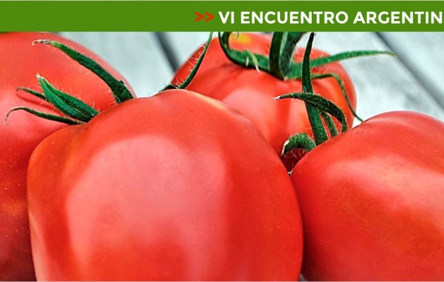 San Juan, la provincia será anfitriona del “VI Encuentro Argentino del Tomate”