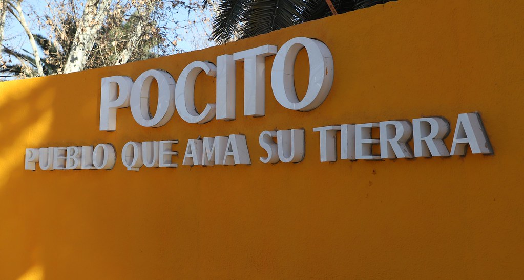 Pocito, una tierra bendecida con vides, olivos y hortalizas - Caminos  Culturales | Caminos Culturales