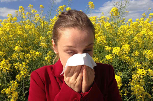 OSPAÑA y los tratamientos de prevención de las alergias