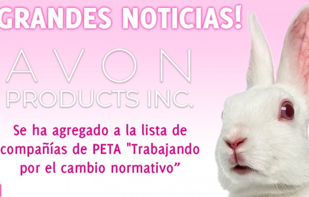 PETA y compromiso de Avon  para erradicar el testeo en animales