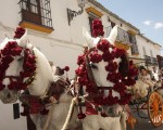 Caminos de Pasión, una ruta alternativa por las tradiciones de Andalucía