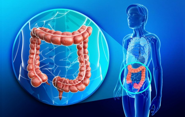 OSPAÑA y la importancia de la concientización en el Día Mundial de la prevención del Cáncer de Colon