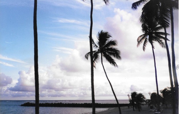 Salvador de Bahía, playas, cultura e historia para las vacaciones post Covid-19