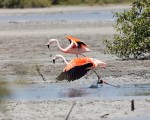 Piura y Tumbes, dos destinos del norte de Perú que seducen por sus playas y paisajes