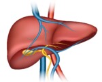 OSPAÑA y la concientización sobre la hepatitis y su prevención