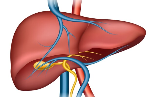 OSPAÑA y la concientización sobre la hepatitis y su prevención