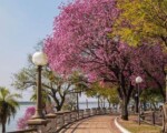 Corrientes, una provincia que combina tradición, historia y naturaleza