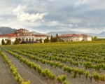 La Rioja Alavesa, tierra de viñedos, historia y tradiciones