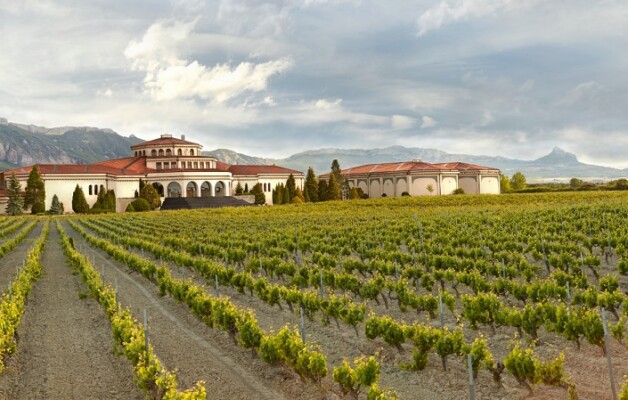 La Rioja Alavesa, tierra de viñedos, historia y tradiciones