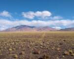 San Juan proyectó audiovisuales sobre el Qhapaq Ñan, en el stand de la Feria Internacional del Libro