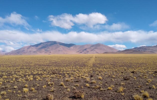 San Juan proyectó audiovisuales sobre el Qhapaq Ñan, en el stand de la Feria Internacional del Libro