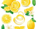 OSPAÑA y la función antioxidante de la Vitamina C