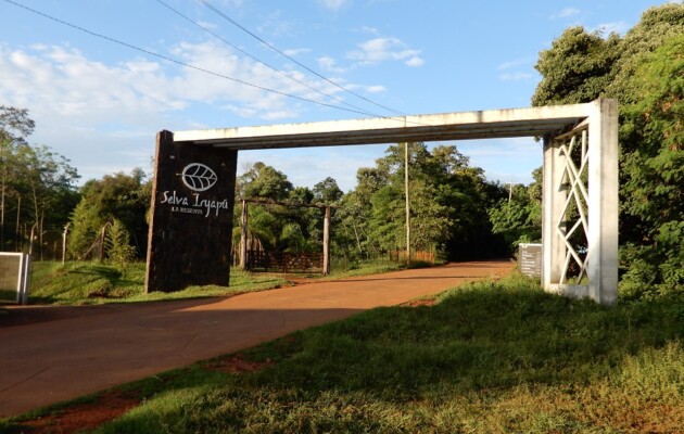 La Reserva Iryapú, un área protegida y selvática donde se realizan cabalgatas y paseos culturales en Puerto Iguazú