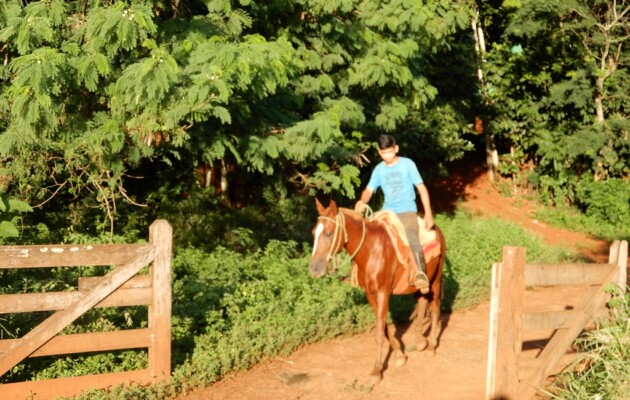 La Granja Sapucay organiza paseos ecológicos a caballo en la Selva Iryapú de Puerto Iguazú