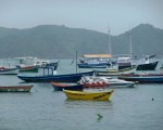 Brasil te llama. Celebra la vida aquí